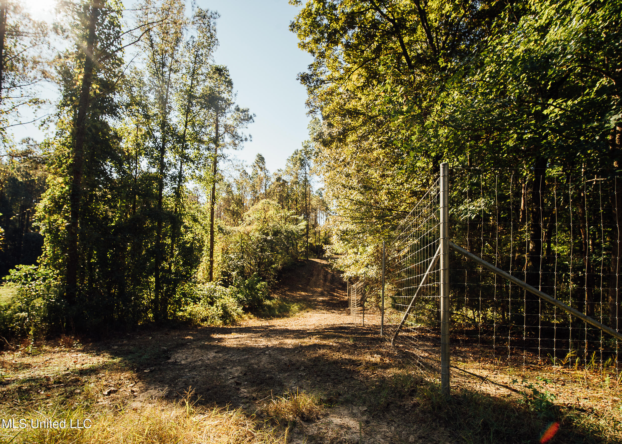 Ms- 4 Property Photo 80