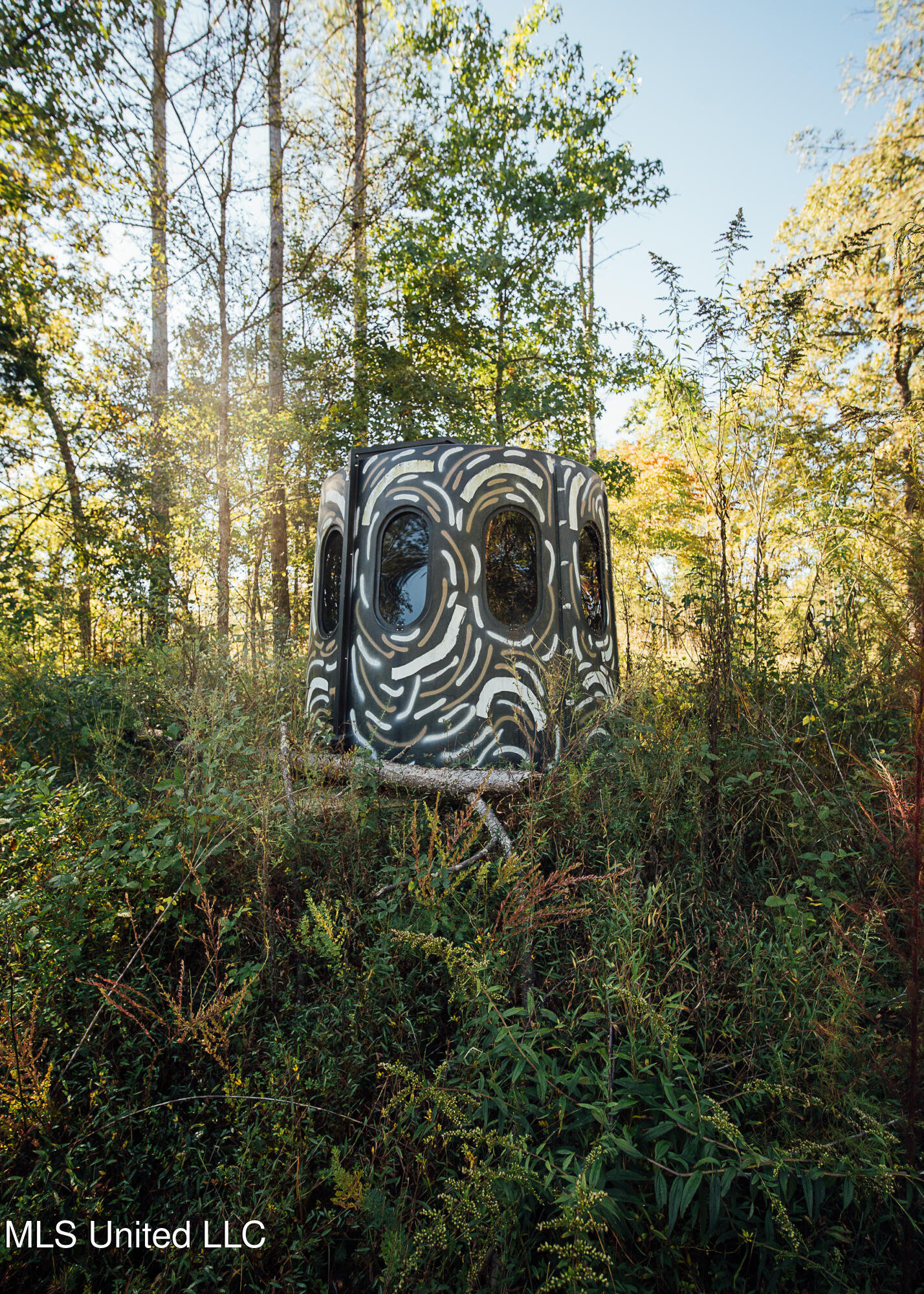 Ms- 4 Property Photo 81