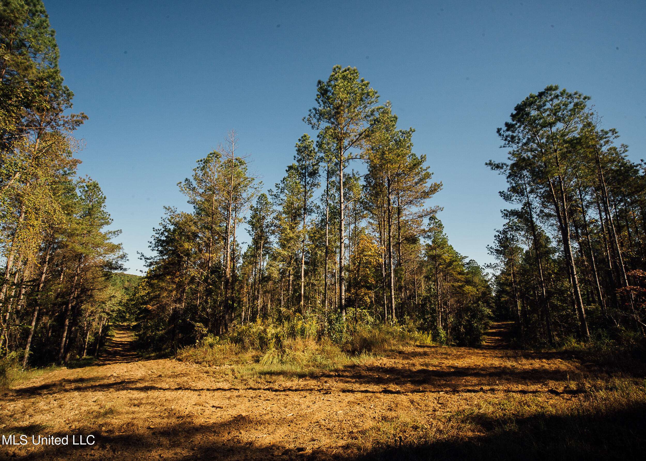 Ms- 4 Property Photo 82