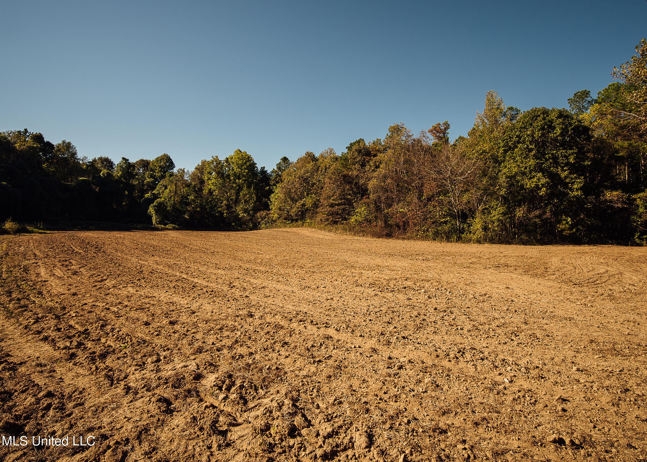 Ms- 4 Property Photo 83