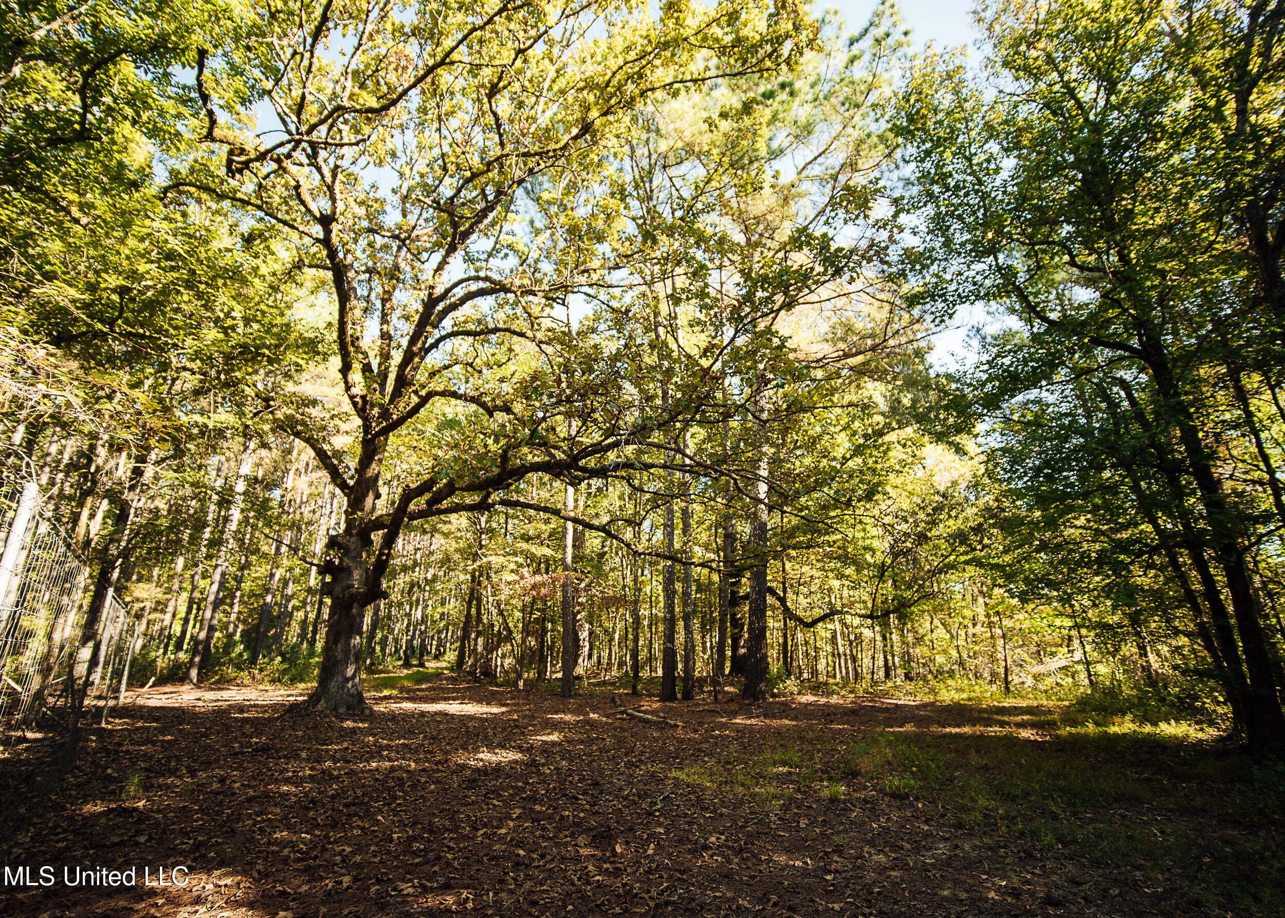 Ms- 4 Property Photo 85