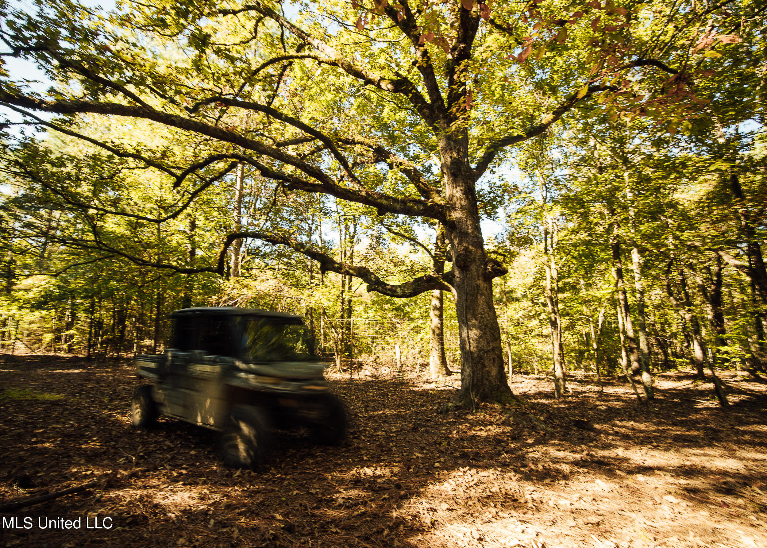 Ms- 4 Property Photo 86