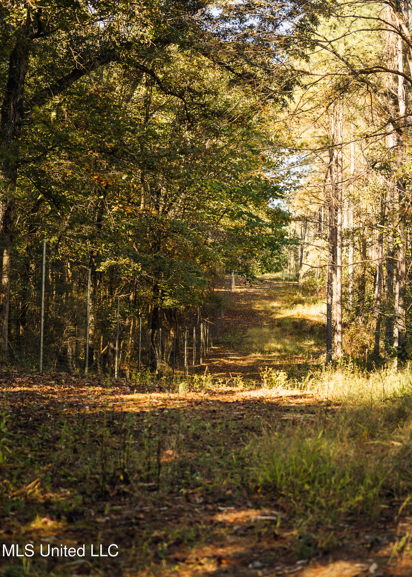 Ms- 4 Property Photo 87