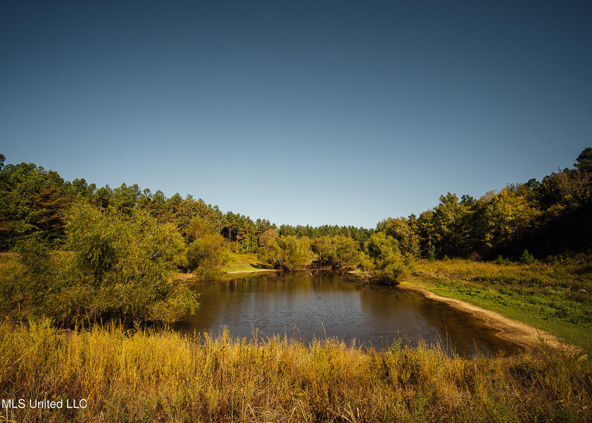 Ms- 4 Property Photo 88