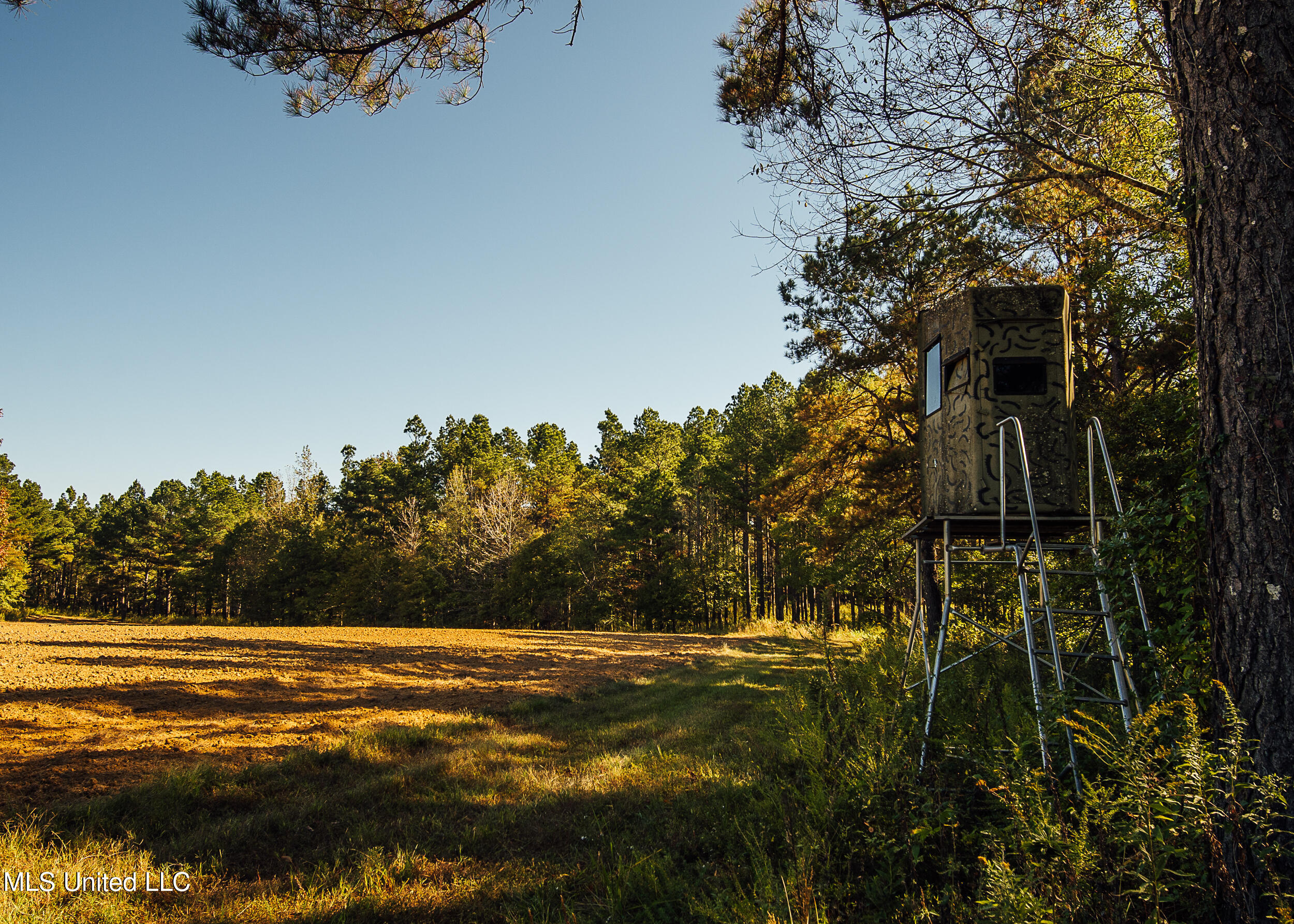 Ms- 4 Property Photo 89