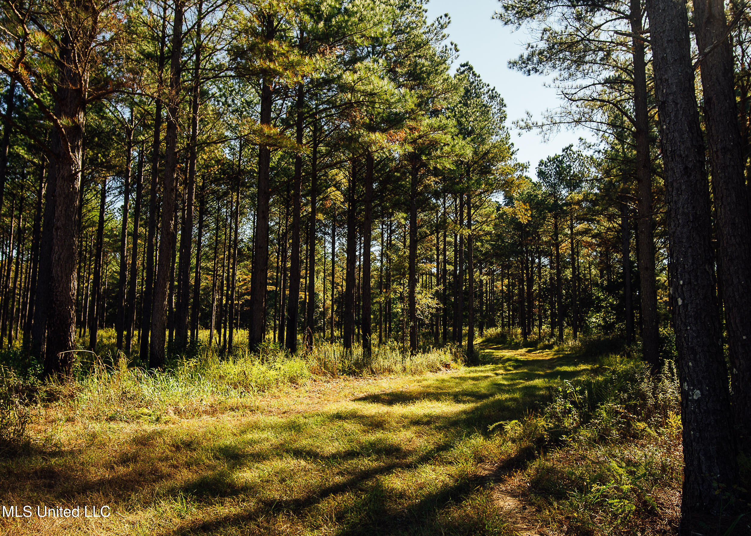 Ms- 4 Property Photo 91