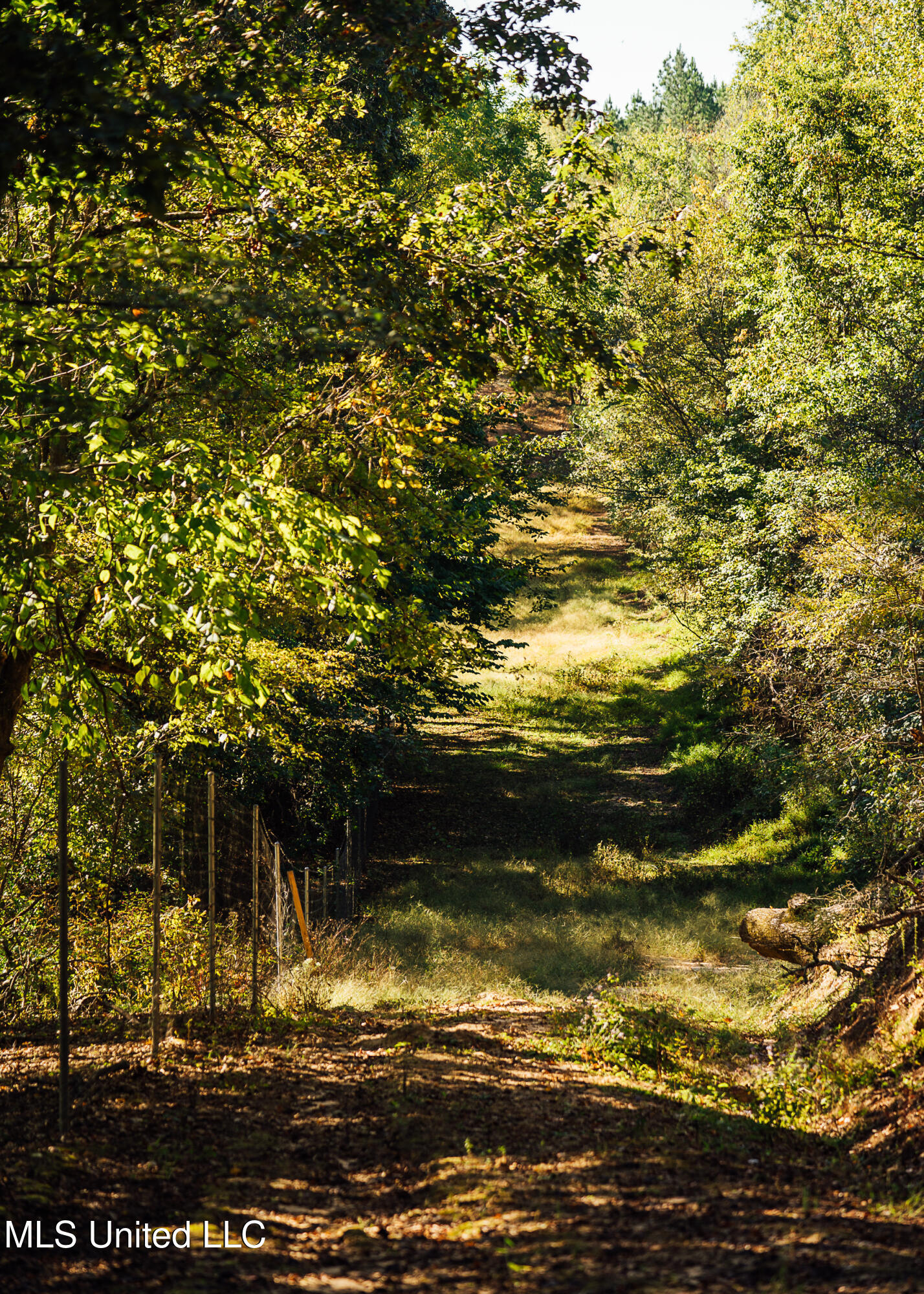 Ms- 4 Property Photo 92