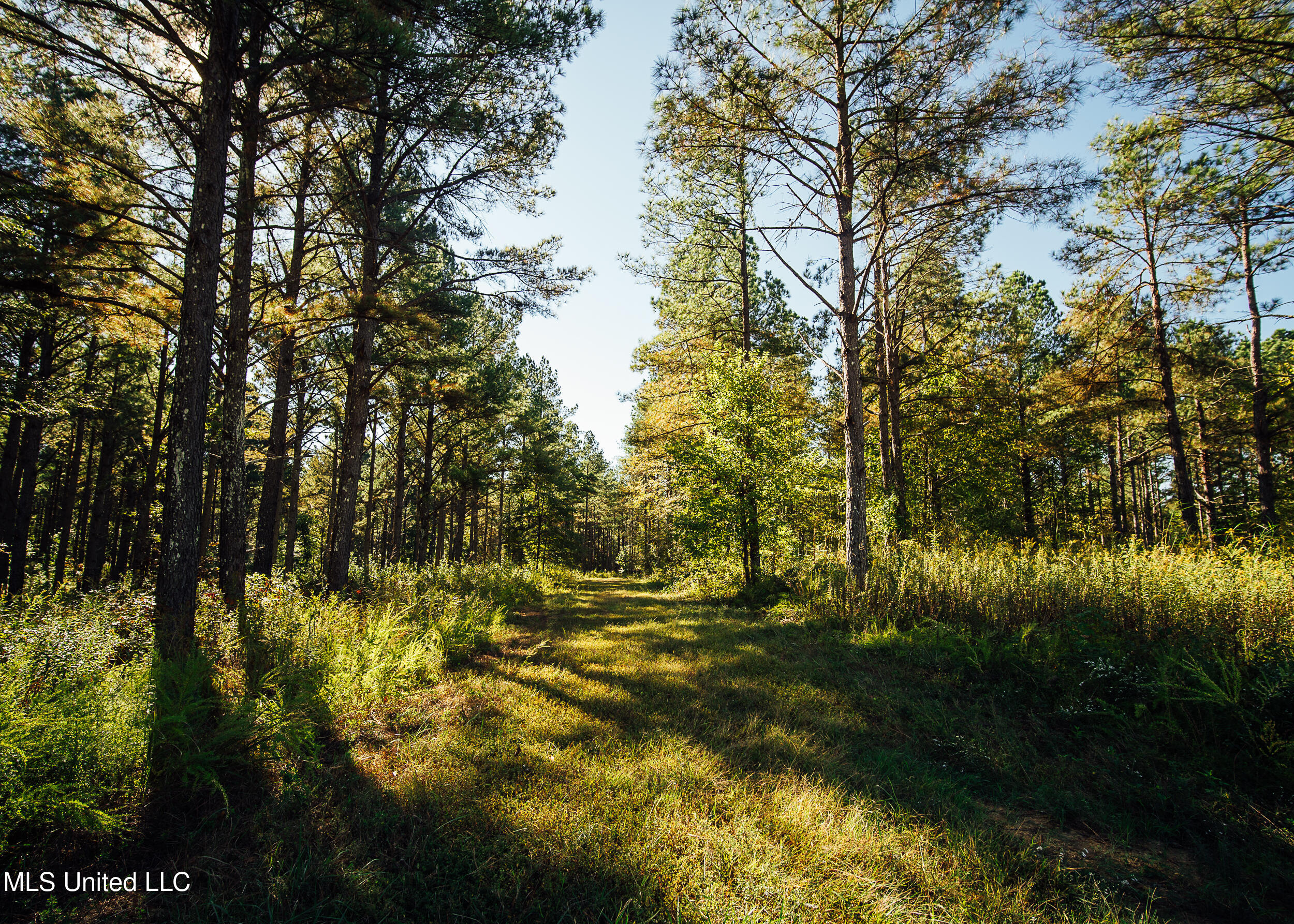 Ms- 4 Property Photo 97