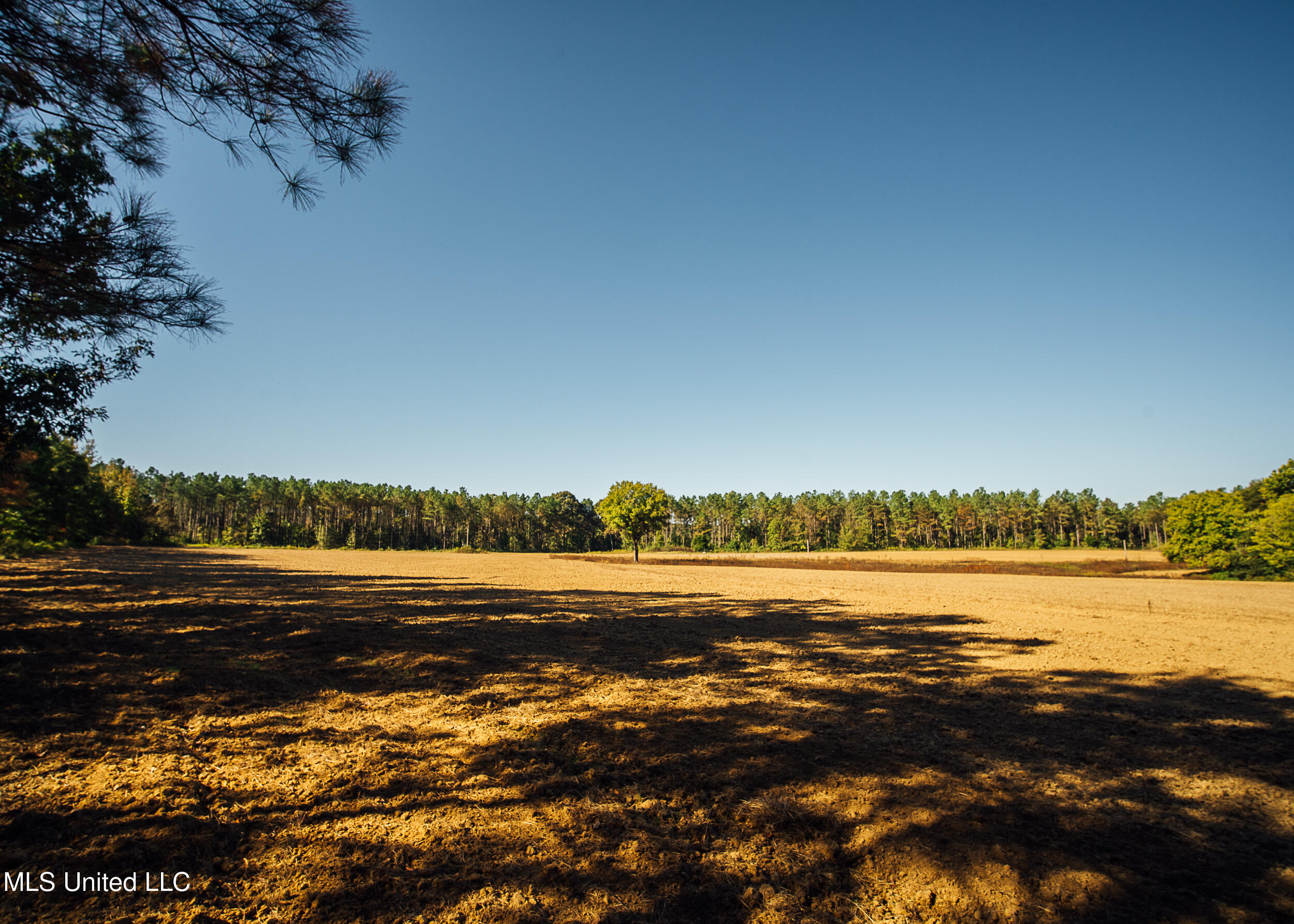 Ms- 4 Property Photo 100