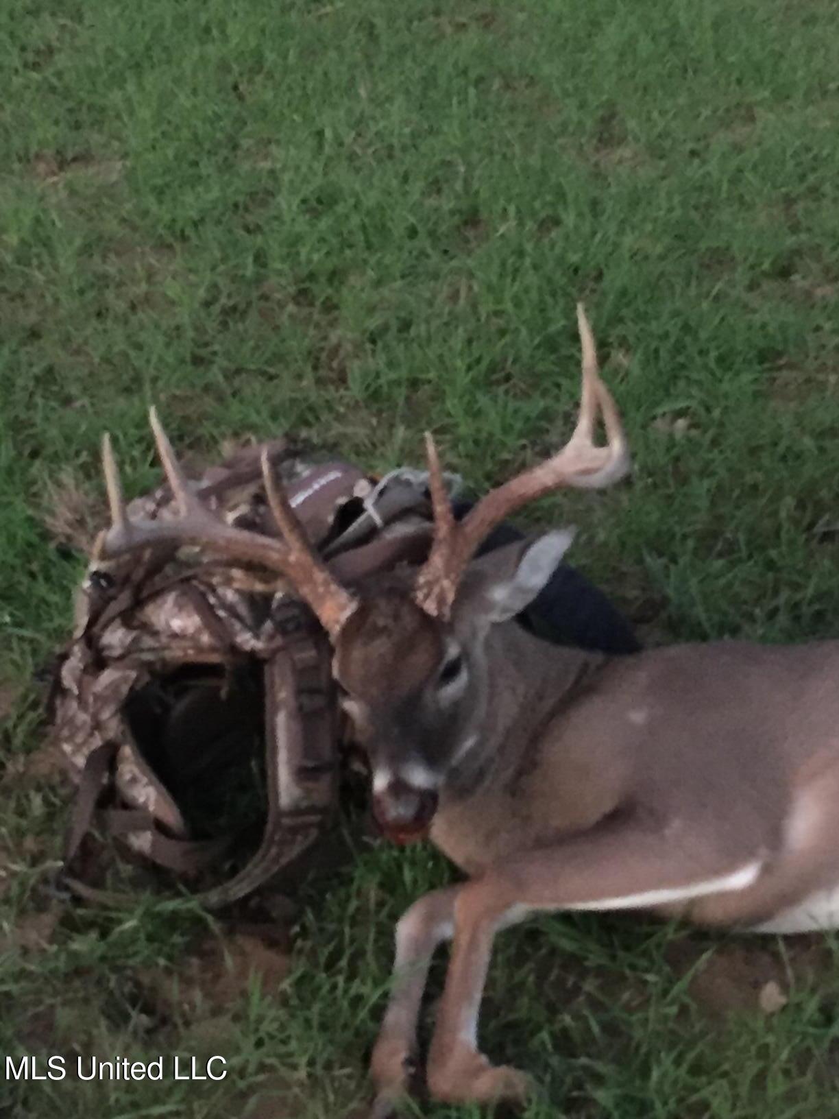 Ms- 4 Property Photo 104