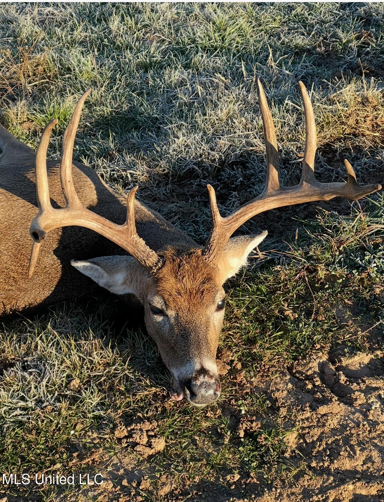 Ms- 4 Property Photo 107