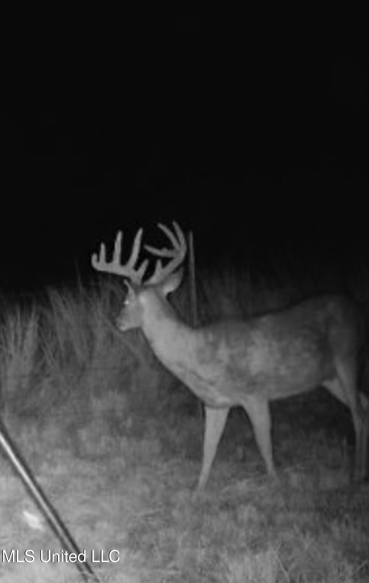 Ms- 4 Property Photo 109