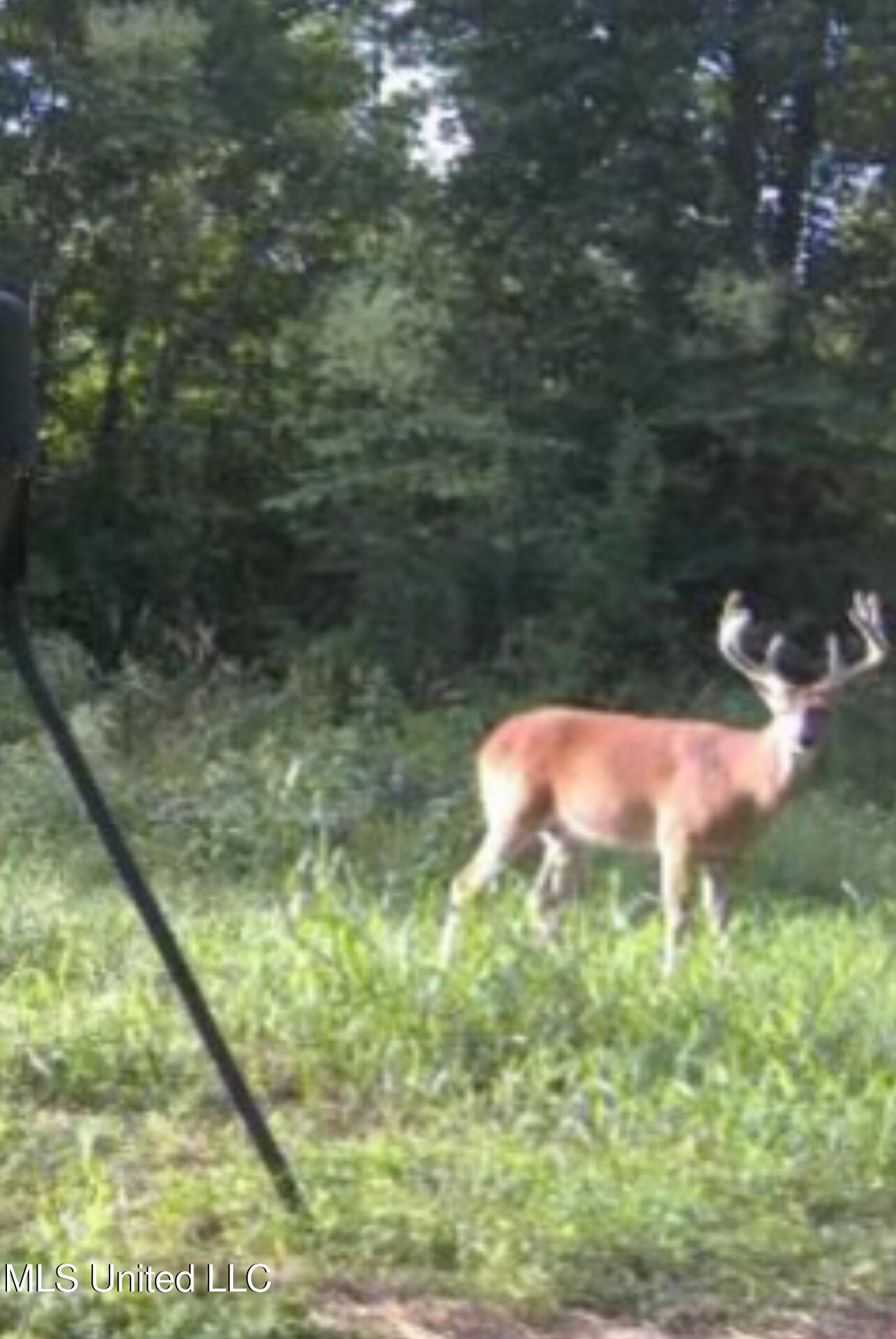 Ms- 4 Property Photo 110