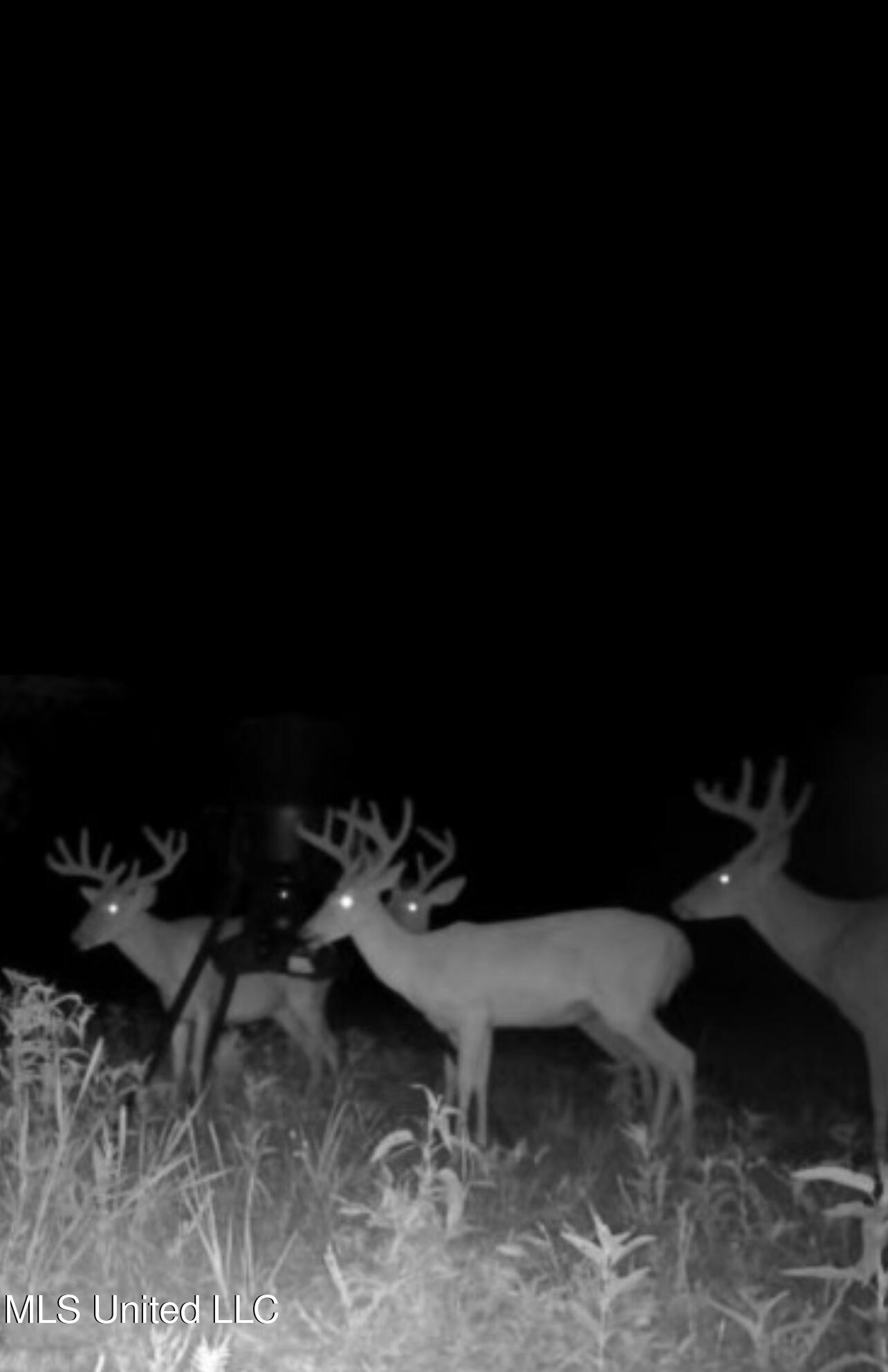 Ms- 4 Property Photo 111