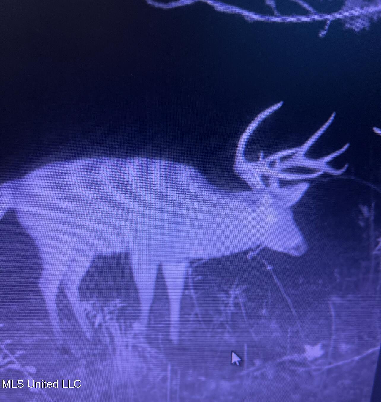 Ms- 4 Property Photo 112