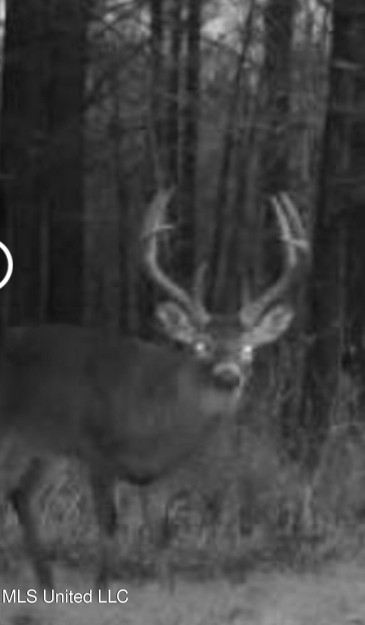 Ms- 4 Property Photo 113