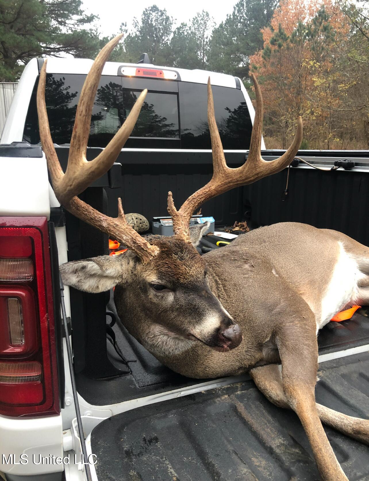 Ms- 4 Property Photo 116