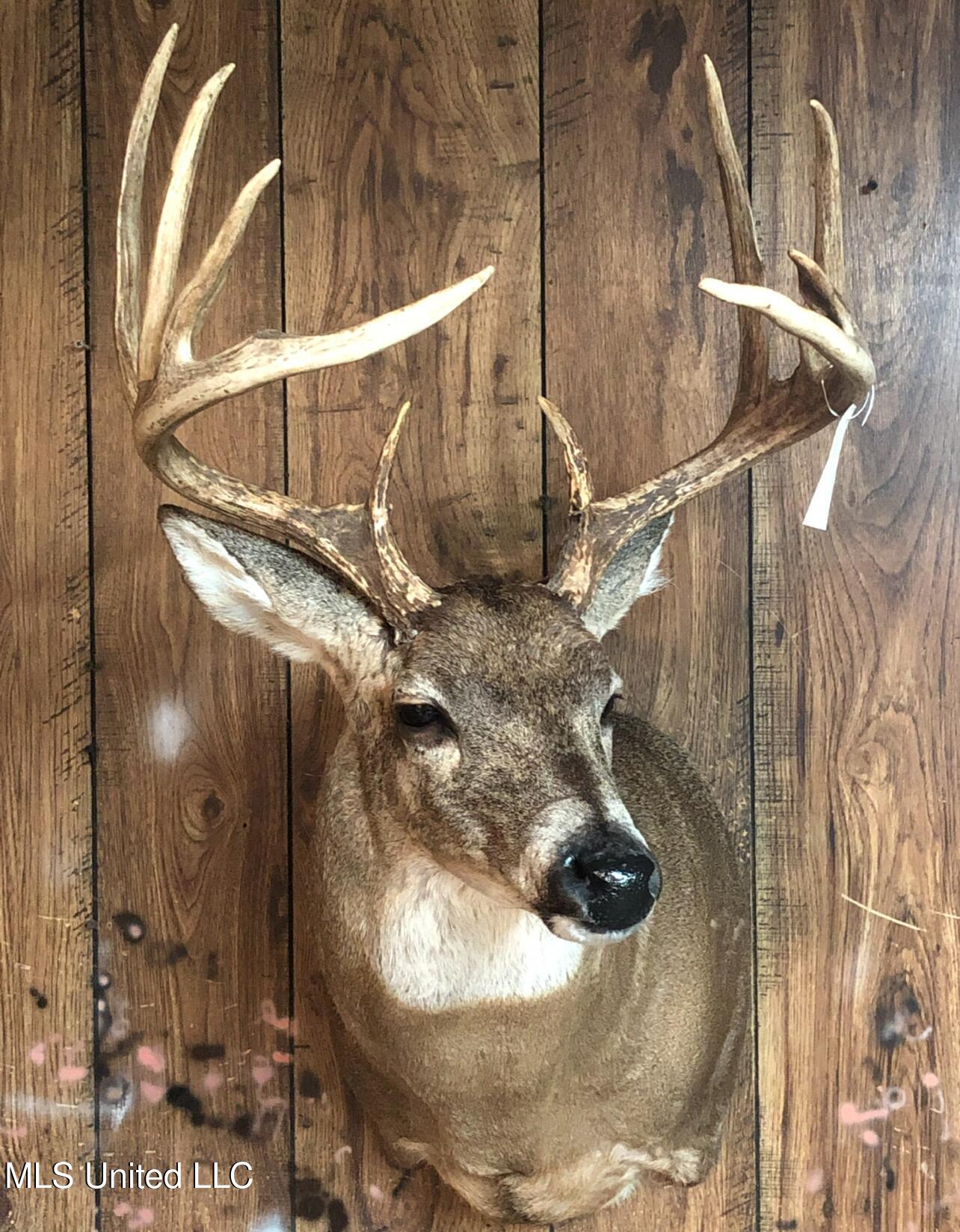 Ms- 4 Property Photo 117