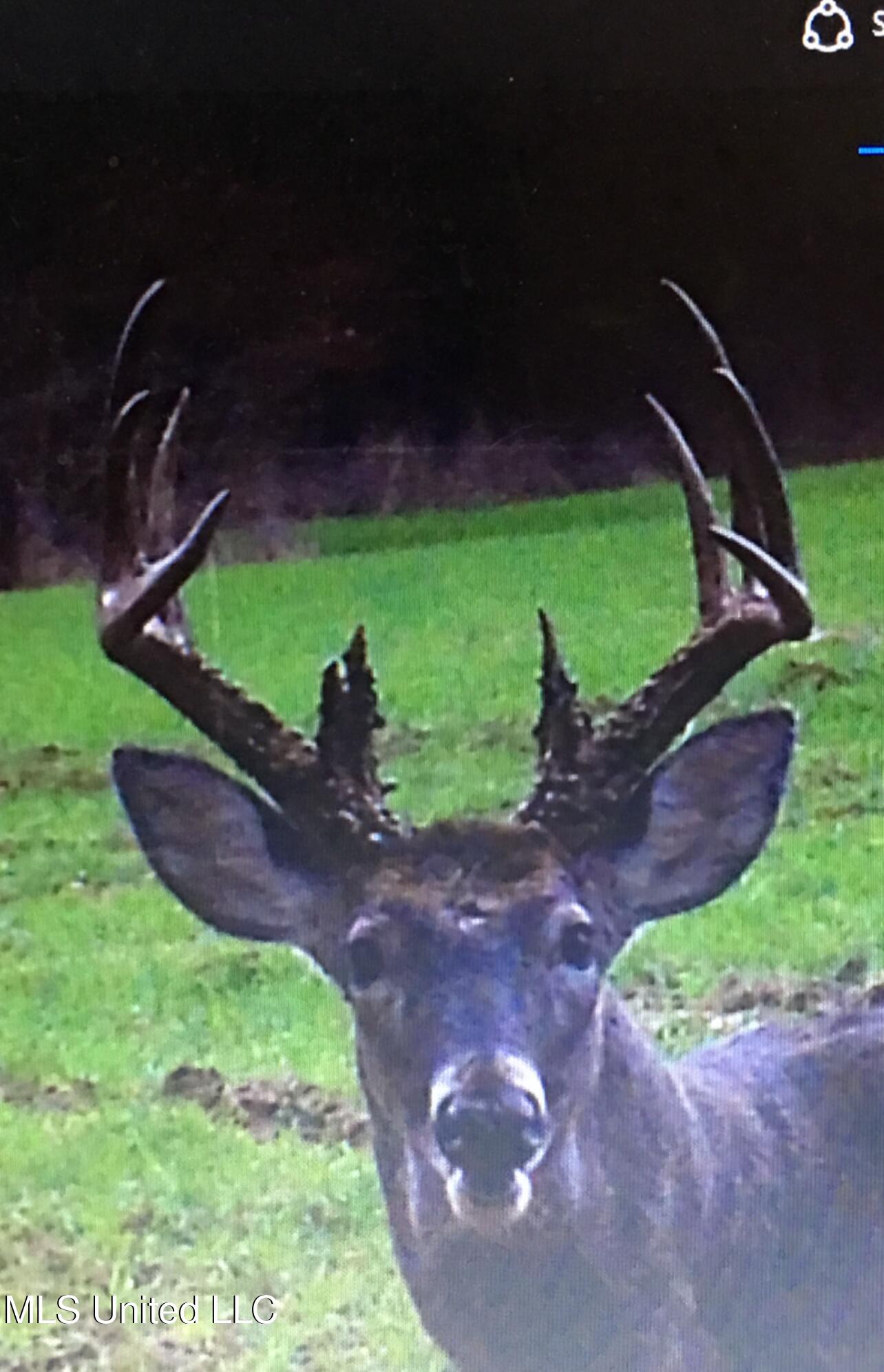 Ms- 4 Property Photo 118