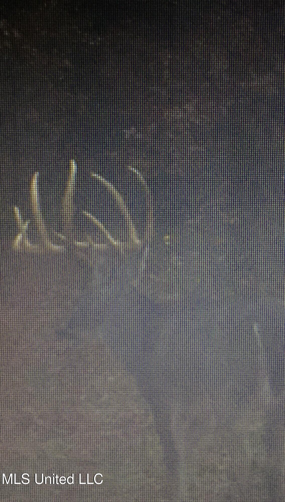 Ms- 4 Property Photo 119