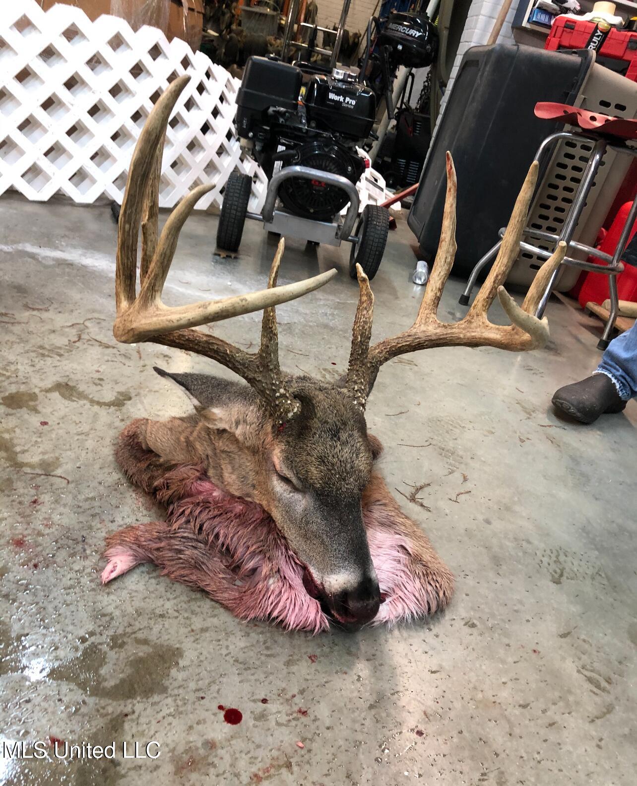 Ms- 4 Property Photo 120