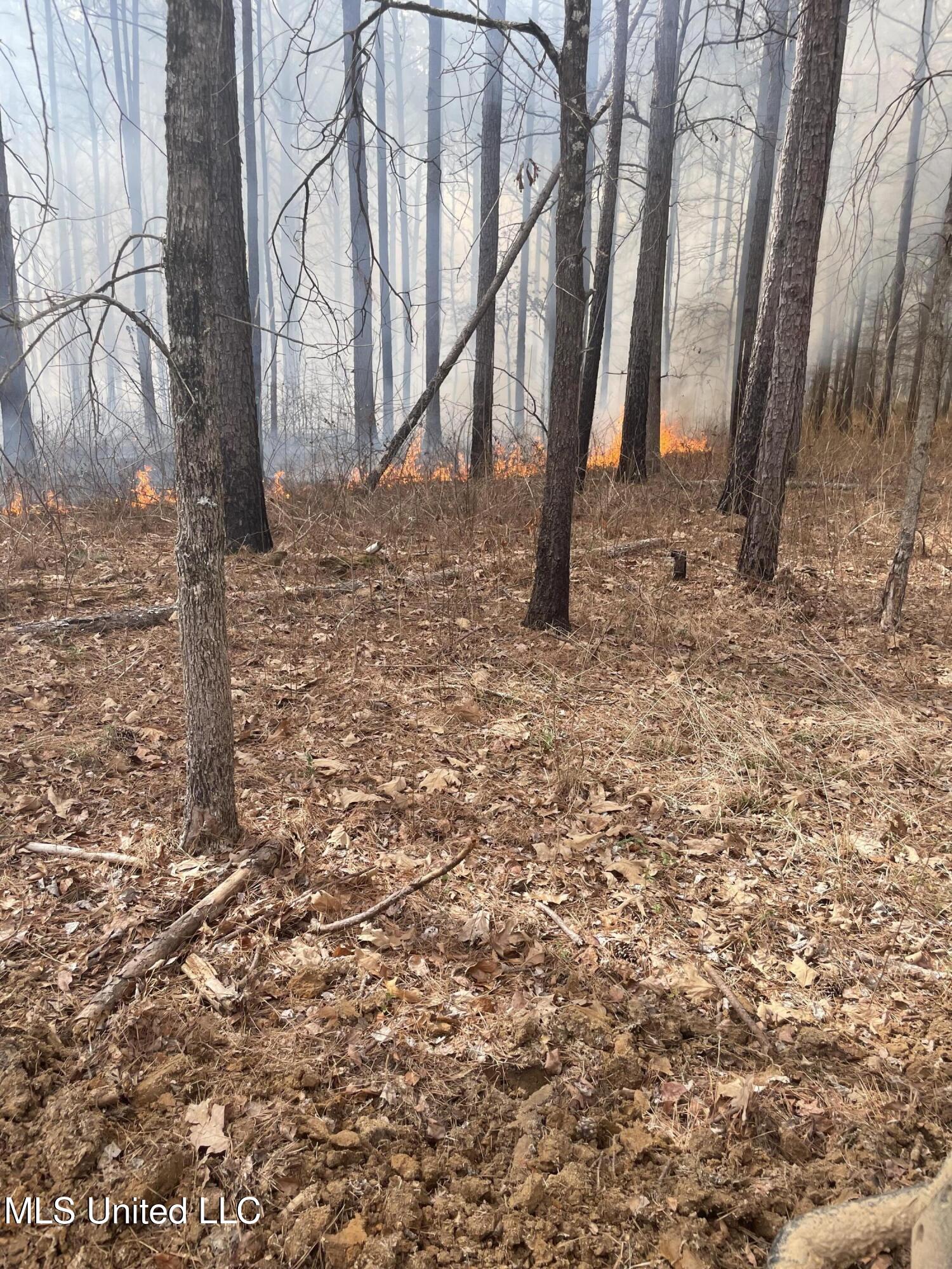 Ms- 4 Property Photo 123