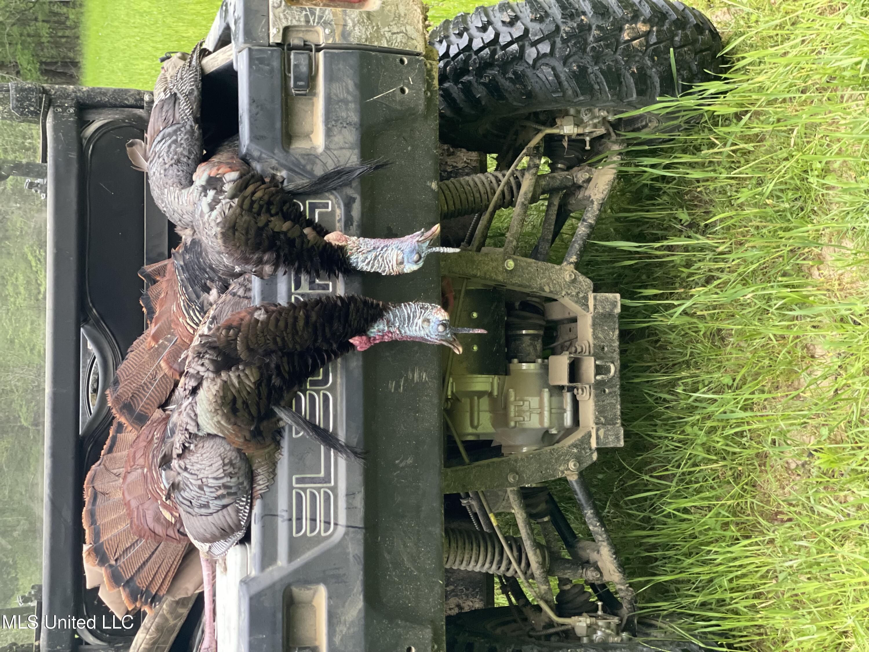 Ms- 4 Property Photo 125