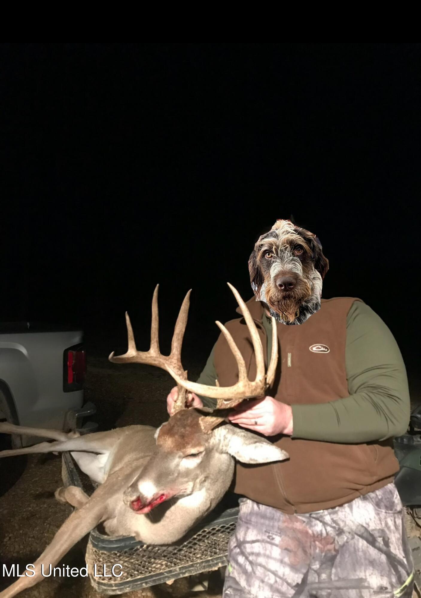 Ms- 4 Property Photo 126