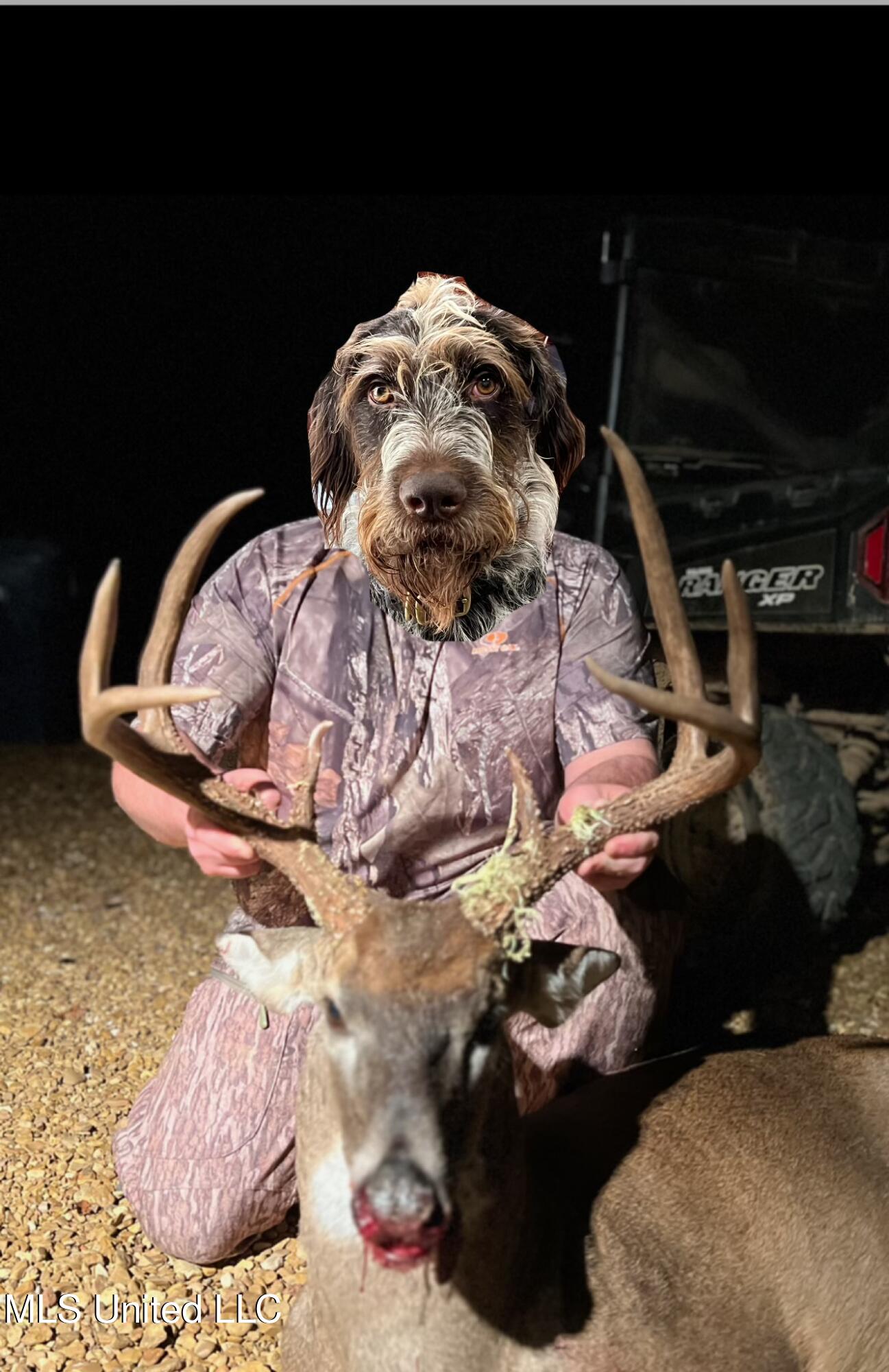 Ms- 4 Property Photo 127