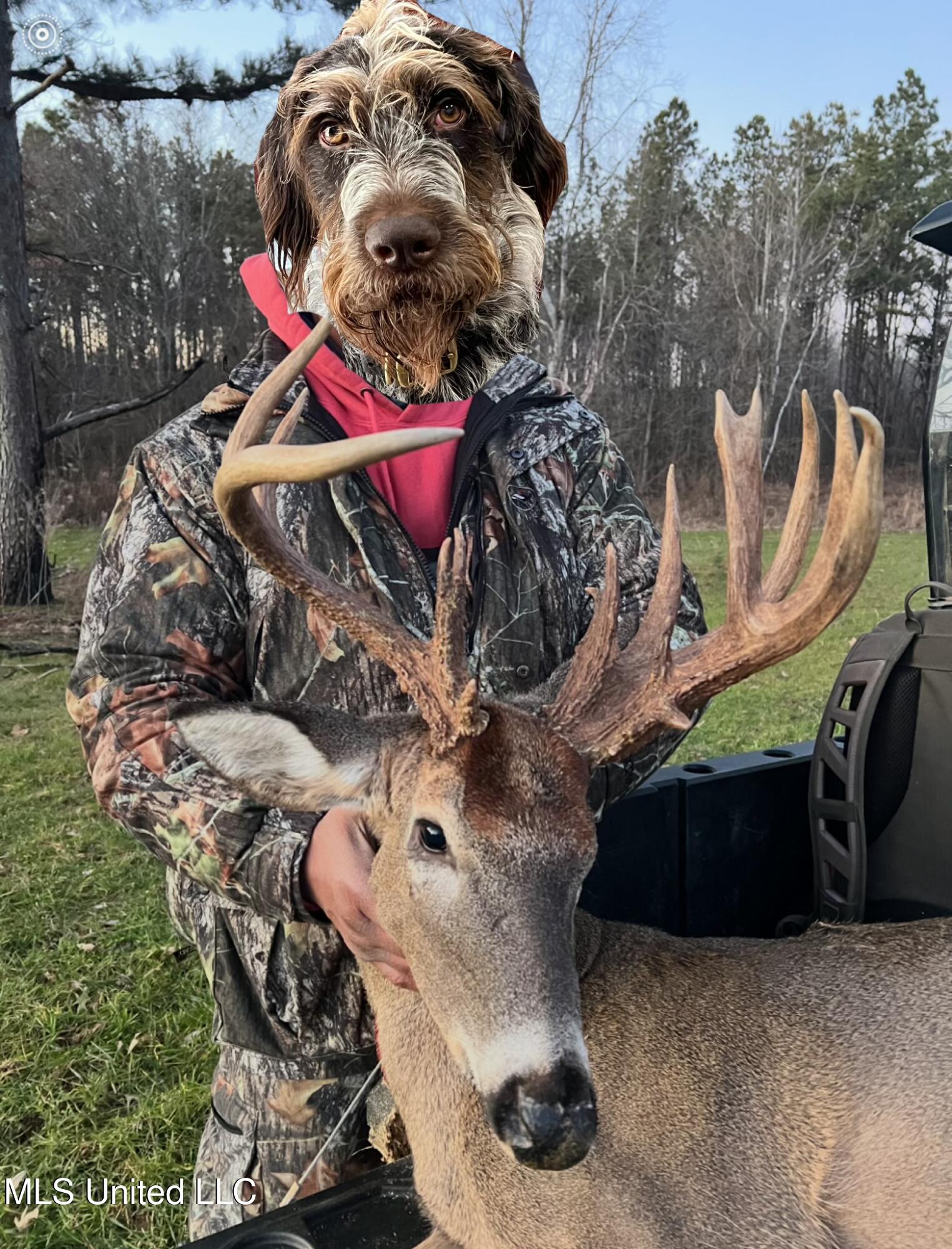 Ms- 4 Property Photo 128