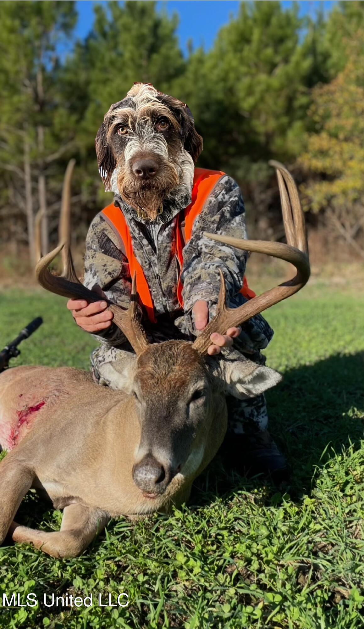 Ms- 4 Property Photo 129