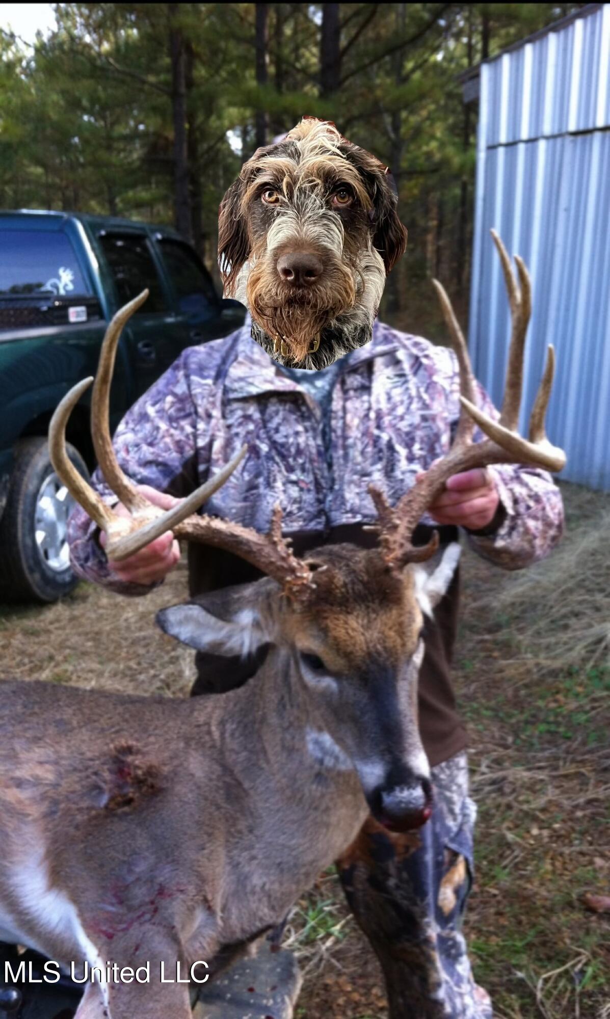 Ms- 4 Property Photo 130