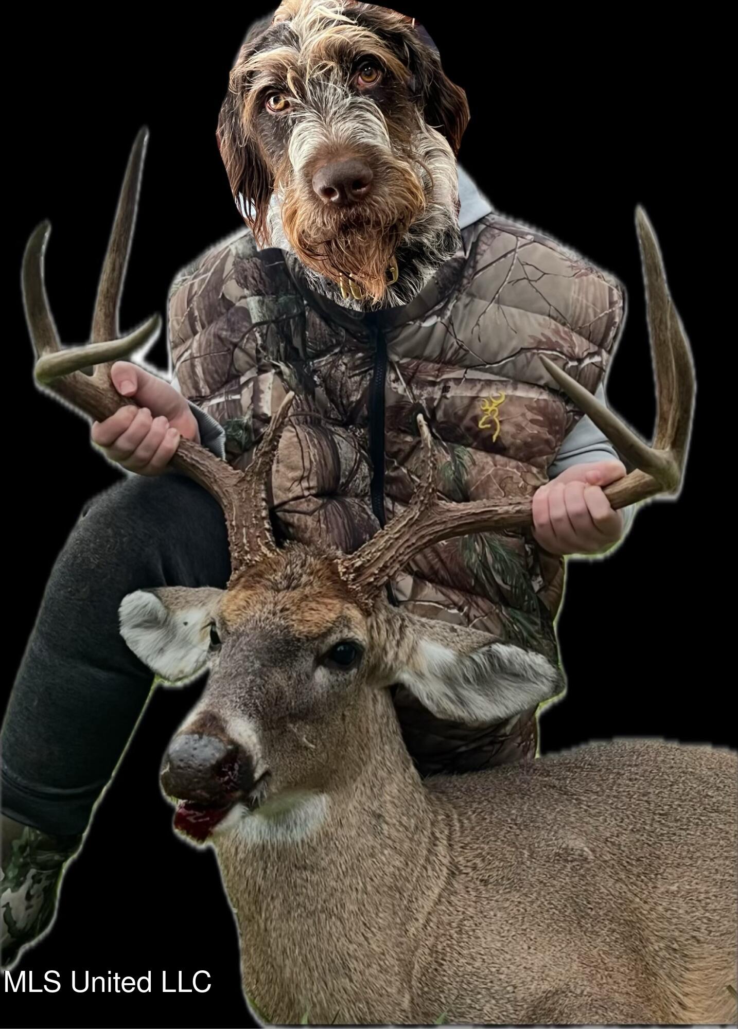 Ms- 4 Property Photo 131