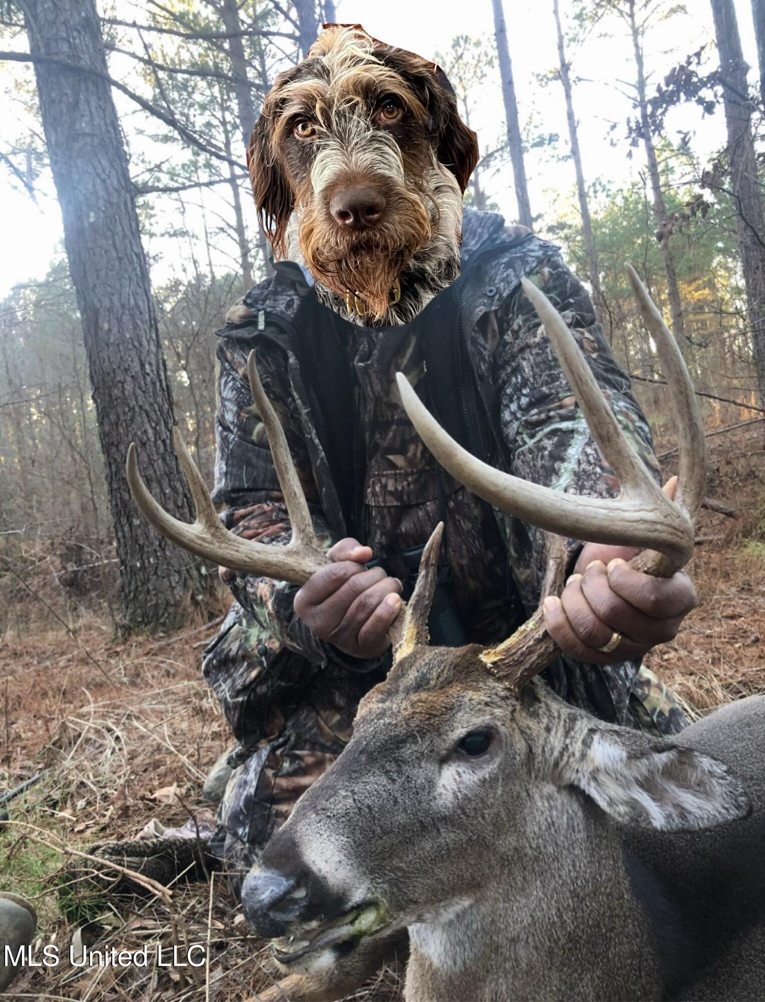 Ms- 4 Property Photo 132