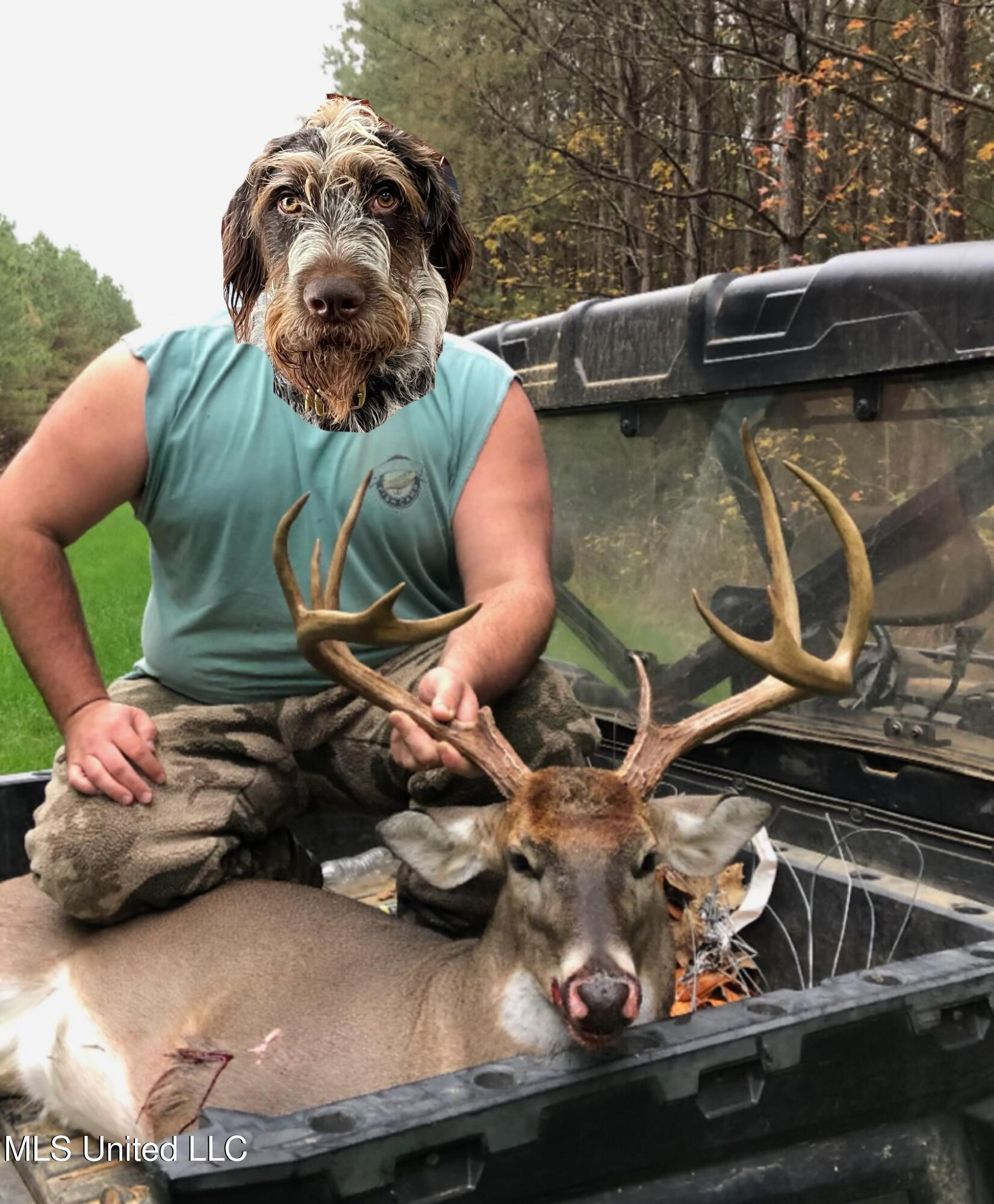 Ms- 4 Property Photo 133