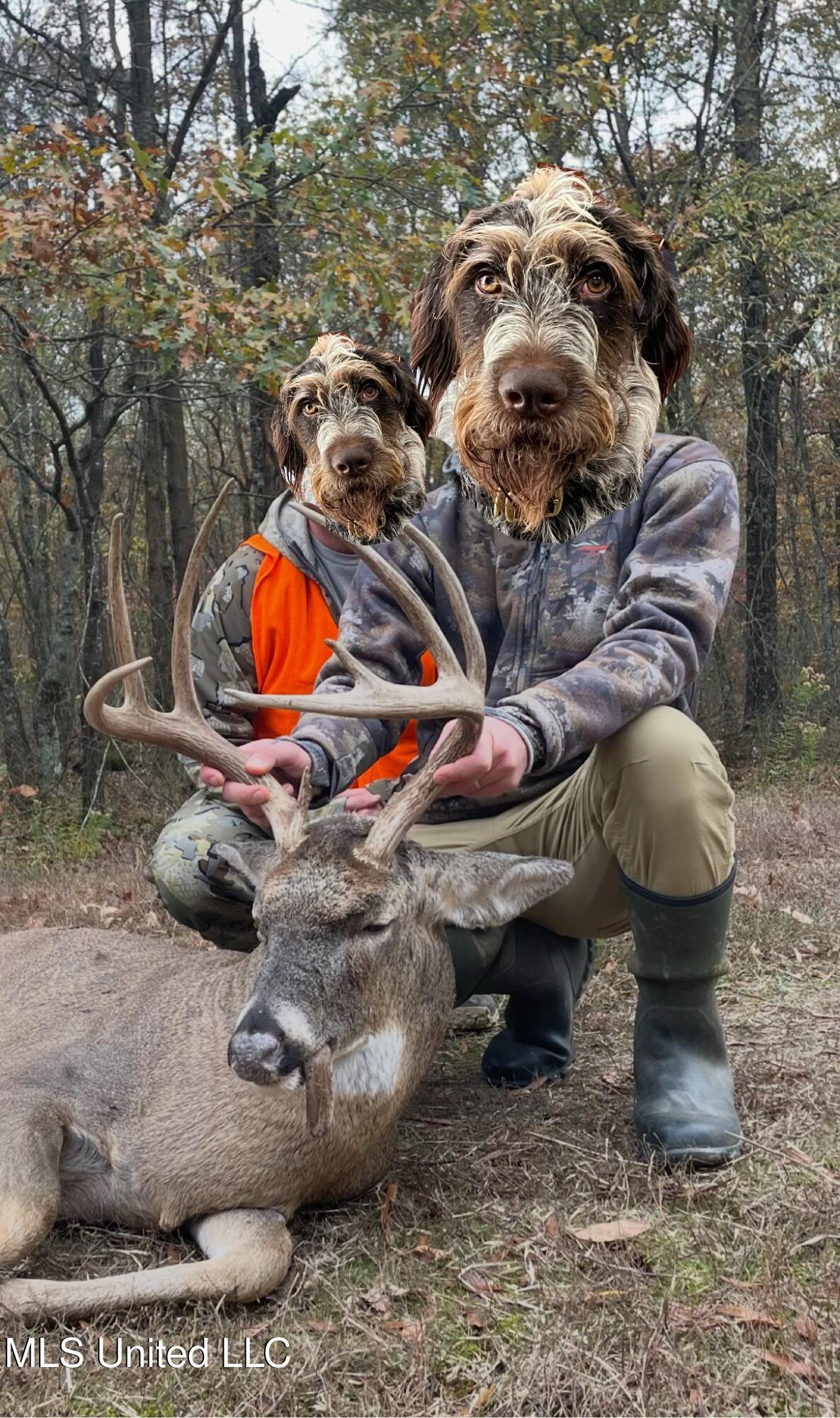 Ms- 4 Property Photo 134