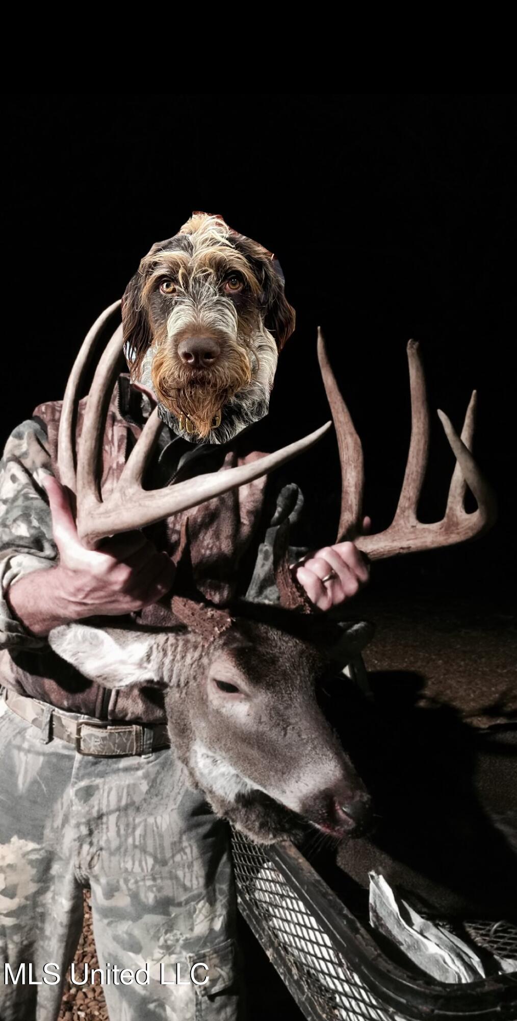 Ms- 4 Property Photo 136