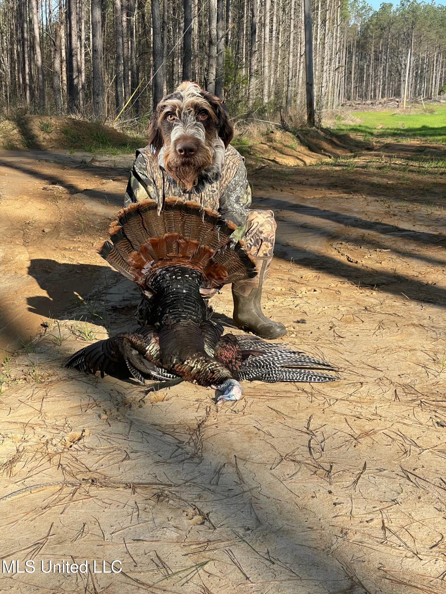 Ms- 4 Property Photo 139