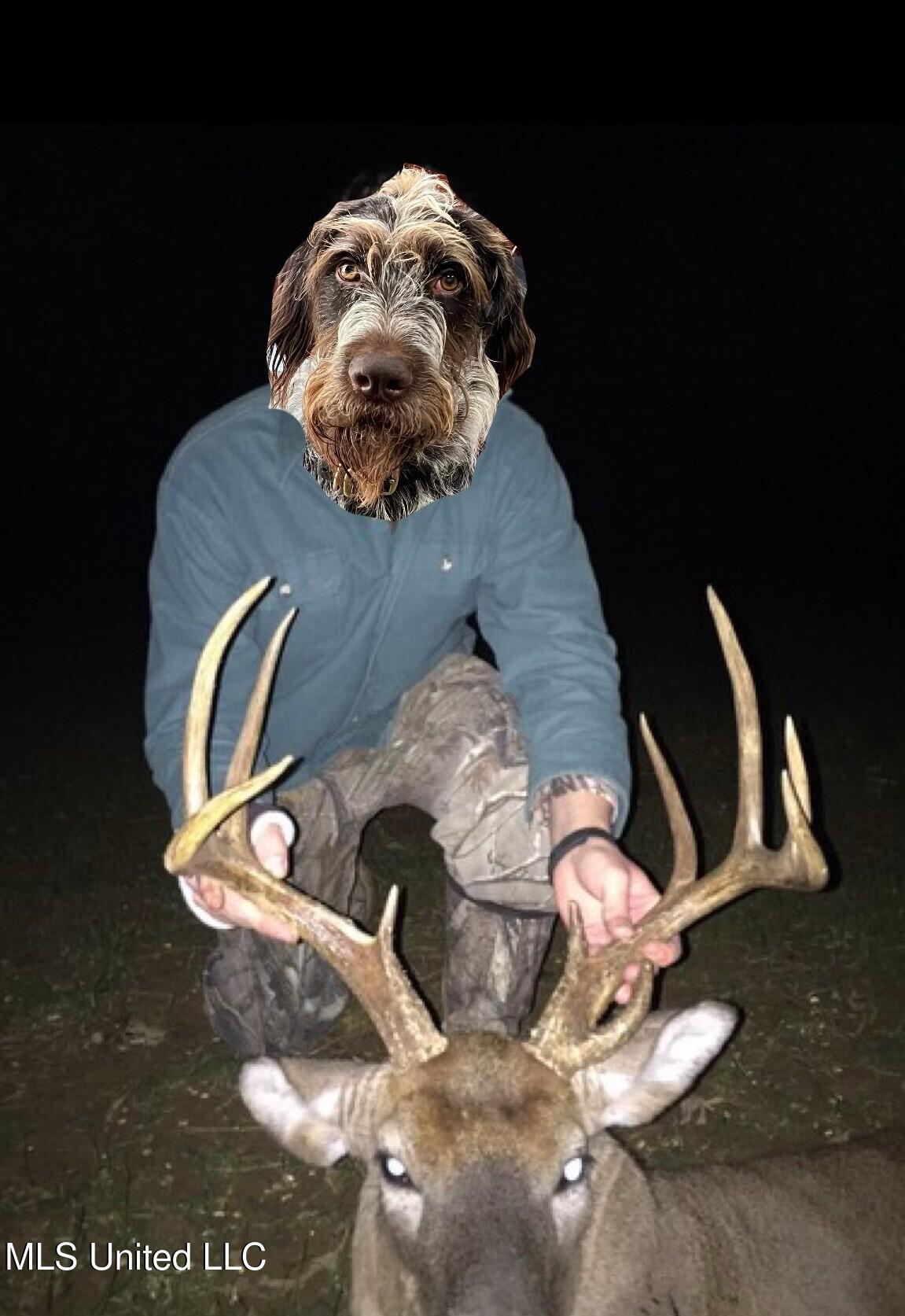 Ms- 4 Property Photo 140