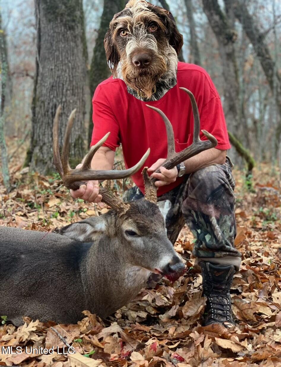 Ms- 4 Property Photo 141