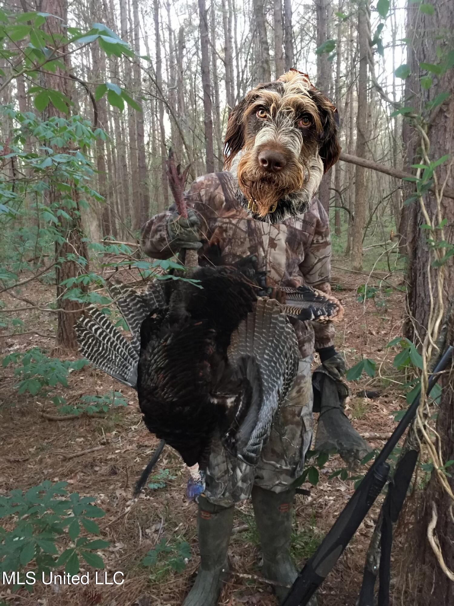 Ms- 4 Property Photo 142