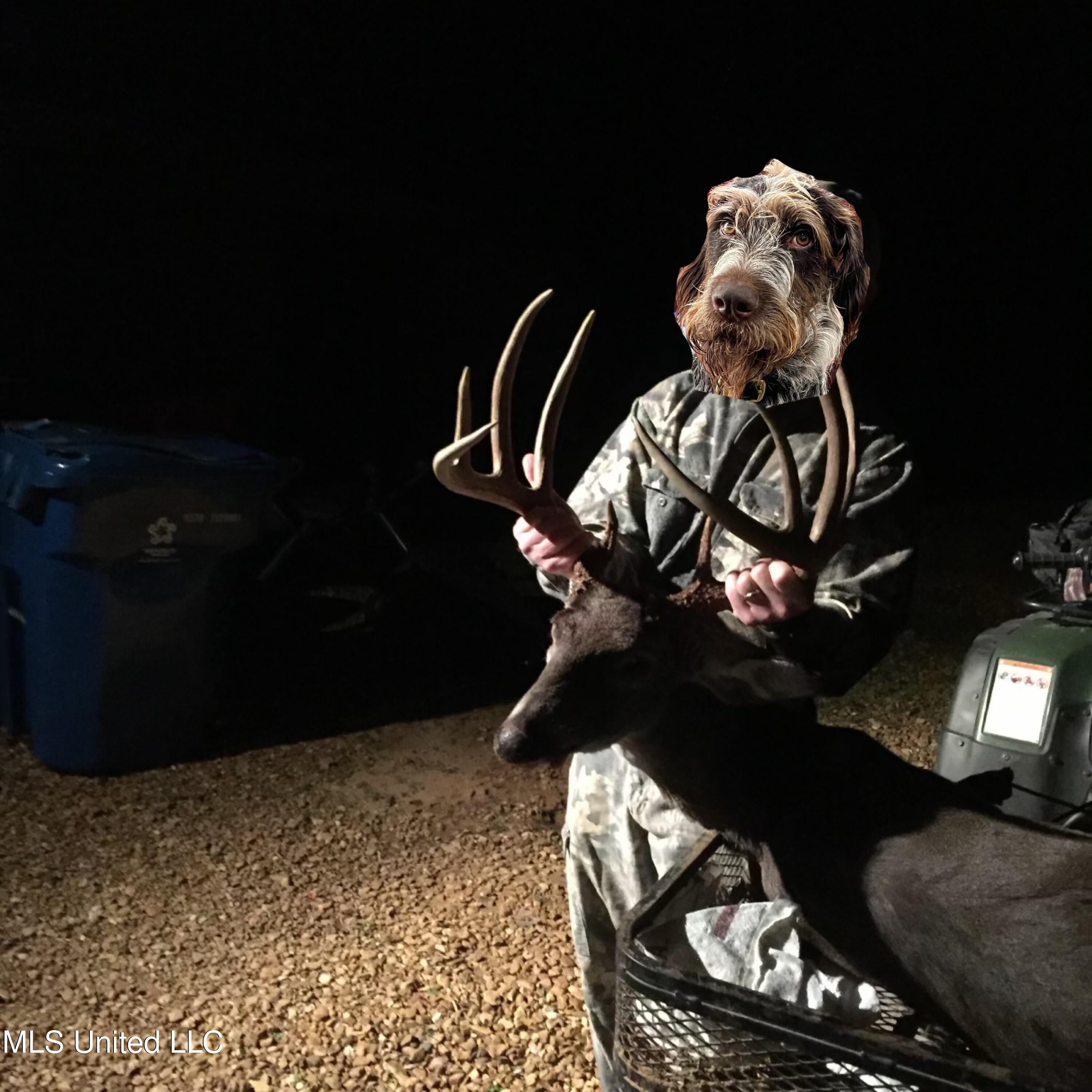 Ms- 4 Property Photo 143