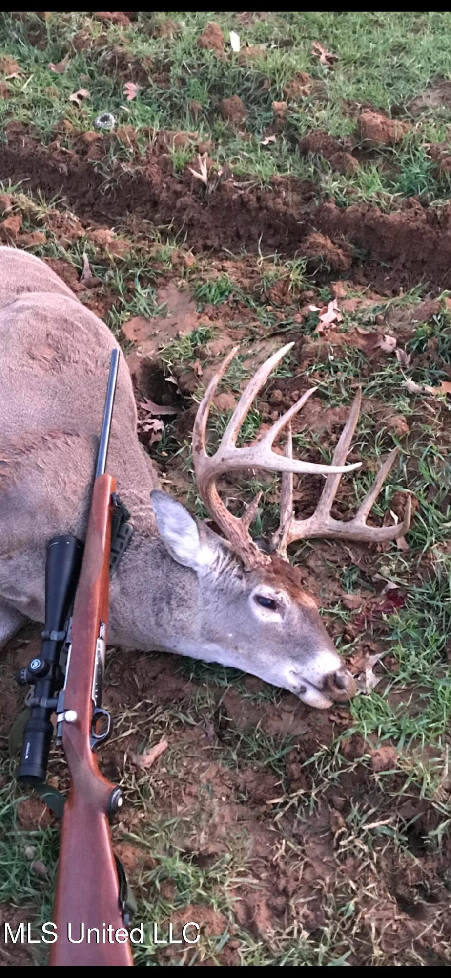 Ms- 4 Property Photo 145