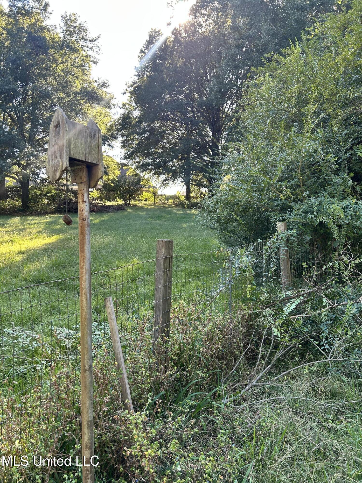 3399 Swinnea Road Property Photo 4