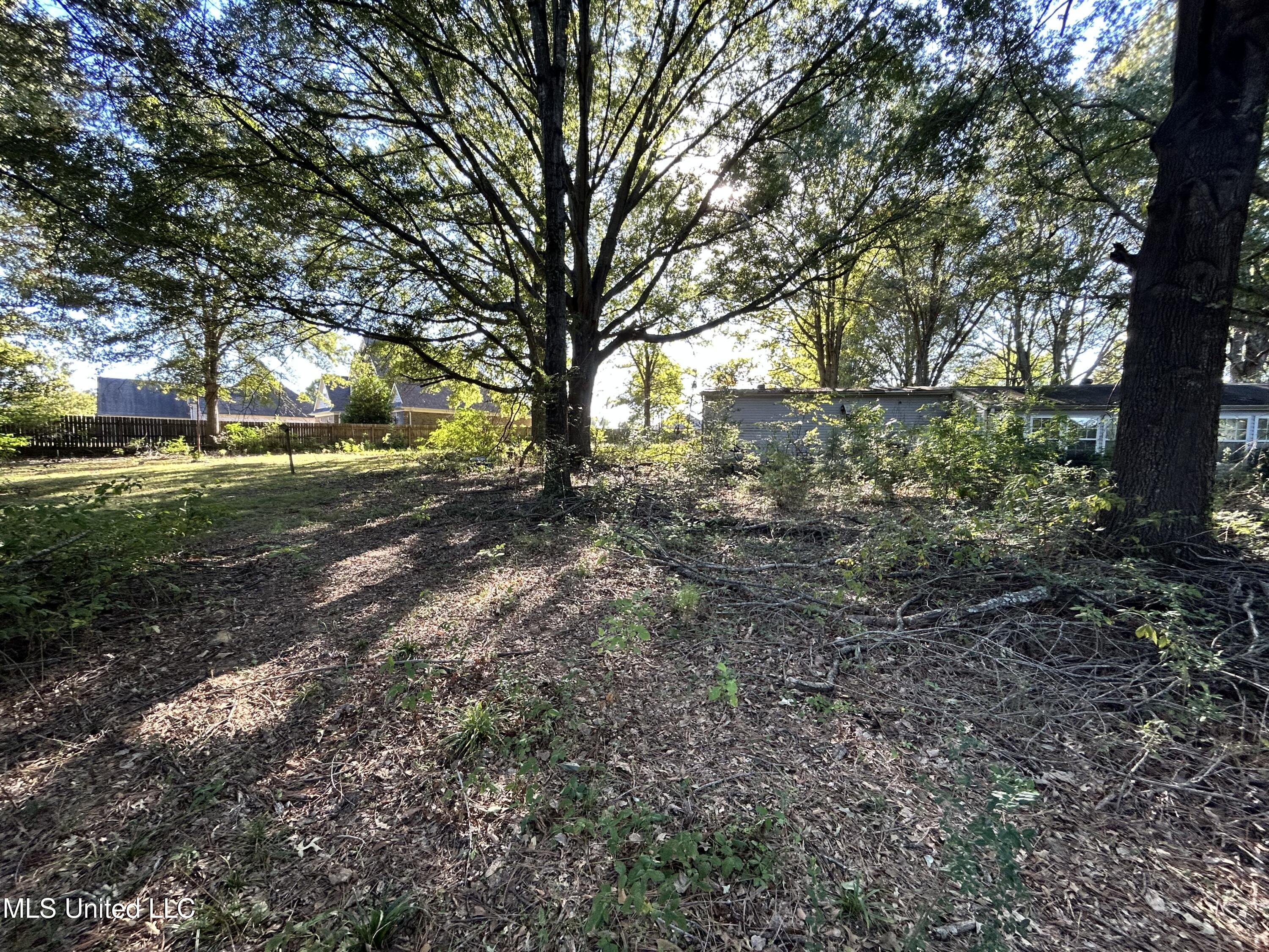 3399 Swinnea Road Property Photo 5