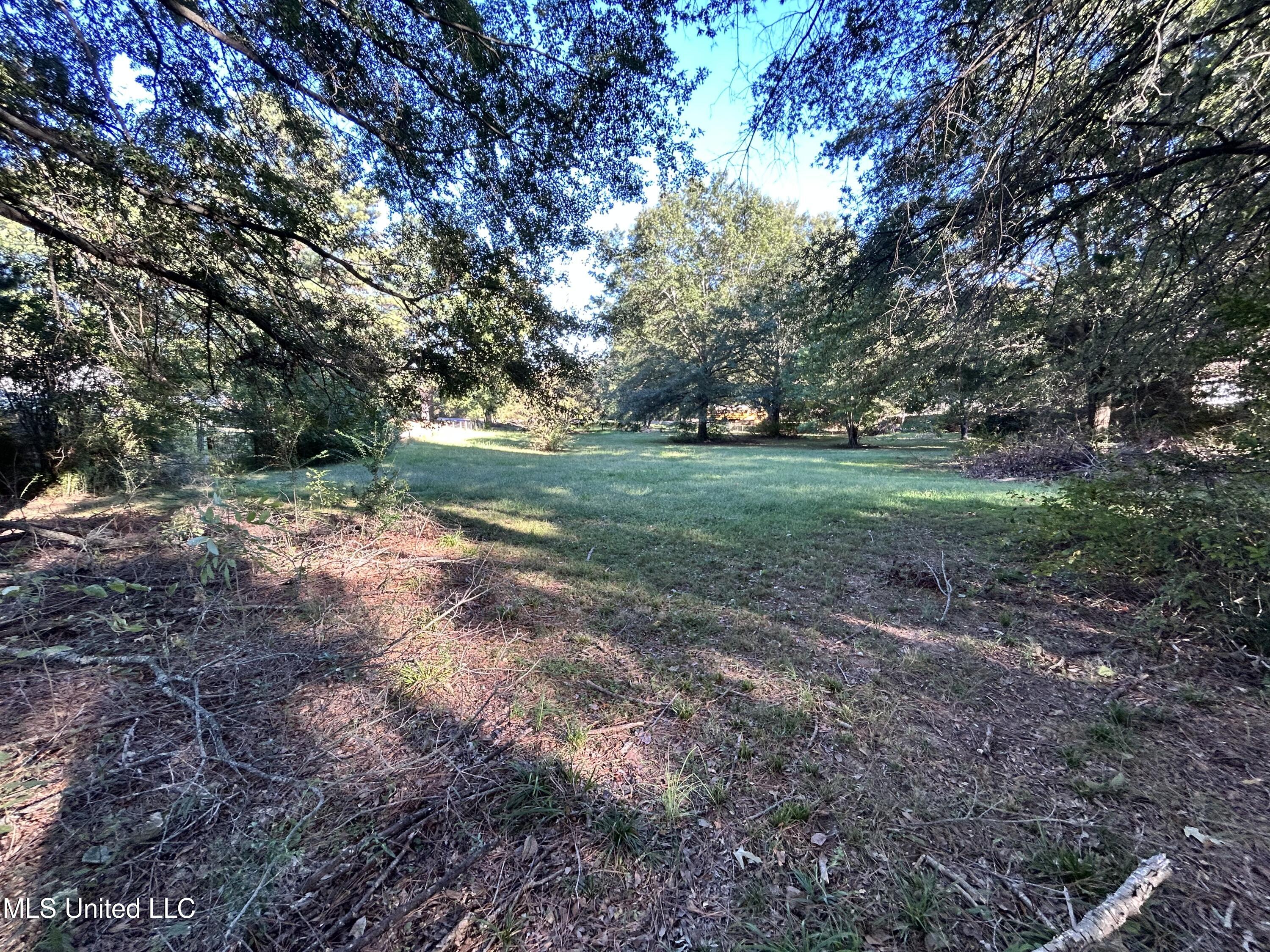 3399 Swinnea Road Property Photo 6