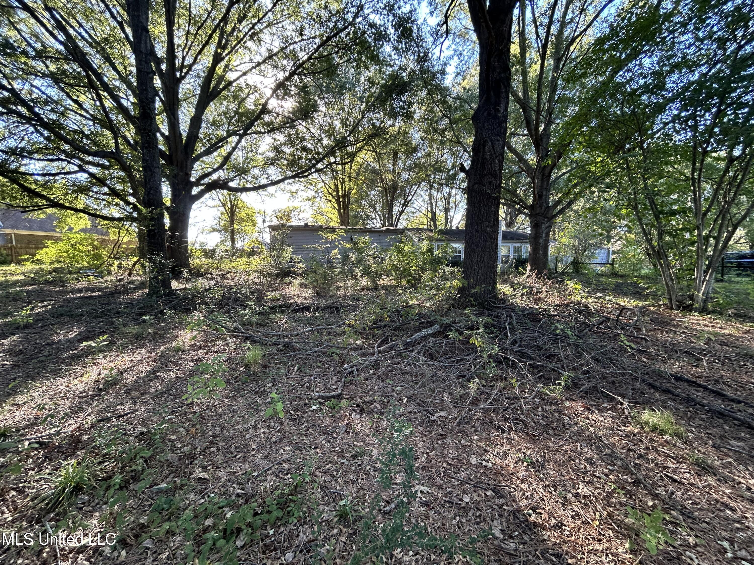 3399 Swinnea Road Property Photo 9