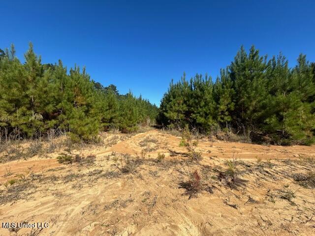 0 County Line Rd Property Photo 3