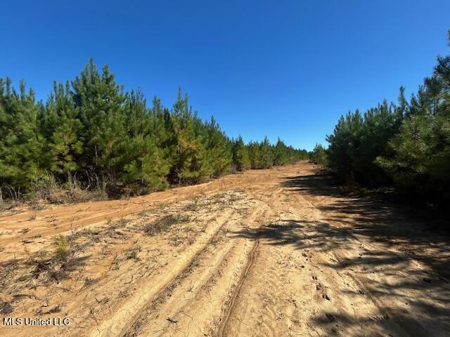 0 County Line Rd Property Photo 4