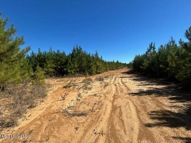 0 County Line Rd Property Photo 5